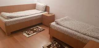 Мотели Motel Dacia Себеш Двухместный номер с 2 отдельными кроватями и ванной комнатой-2